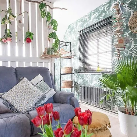 Zalig Cosy 2-4 Pers.fietsen&tuin Appartement *