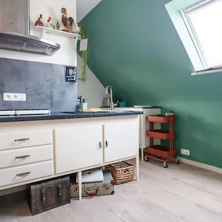 Zalig Cosy 2-4 Pers.fietsen & Tuin De Haan