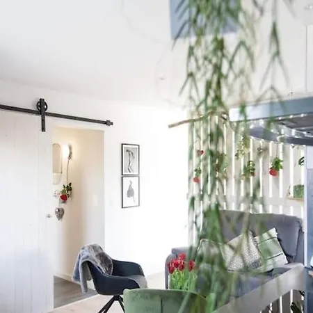 Zalig Cosy 2-4 Pers.fietsen&tuin *