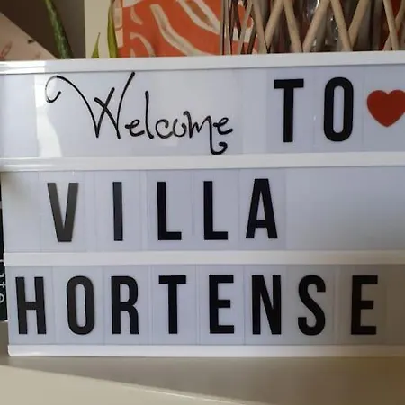 Zalig Cosy 2-4 Pers.fietsen & Tuin Apartment