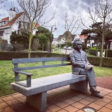 Zalig Cosy 2-4 Pers.fietsen & Tuin De Haan